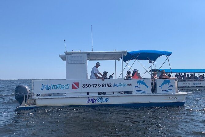 2 Hour Private Dolphin Cruise & Bay Tour - A Detailed Look at the Tour Experience