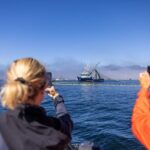 2 Hour Private Marine Wildlife Tour - An In-Depth Look at the 2-Hour Private Marine Wildlife Tour