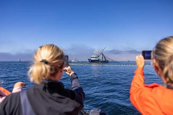 2 Hour Private Marine Wildlife Tour - An In-Depth Look at the 2-Hour Private Marine Wildlife Tour