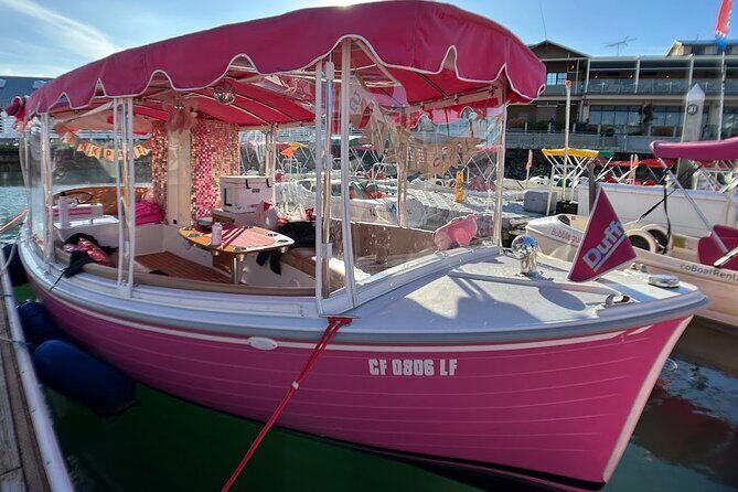 2-Hour Private Pink Bachelorette Boat Cruise in San Diego Bay - Who Is This Tour Best For?