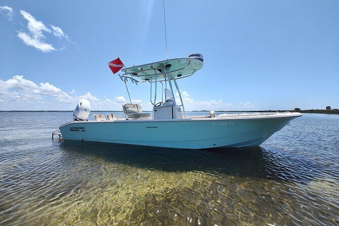 2-Hour Private Sightseeing Dolphin Tour in Panama City Beach - The Itinerary: What You Can Expect