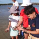 2-hour Shelling Boat Tour in the 10,000 Islands - The Sum Up