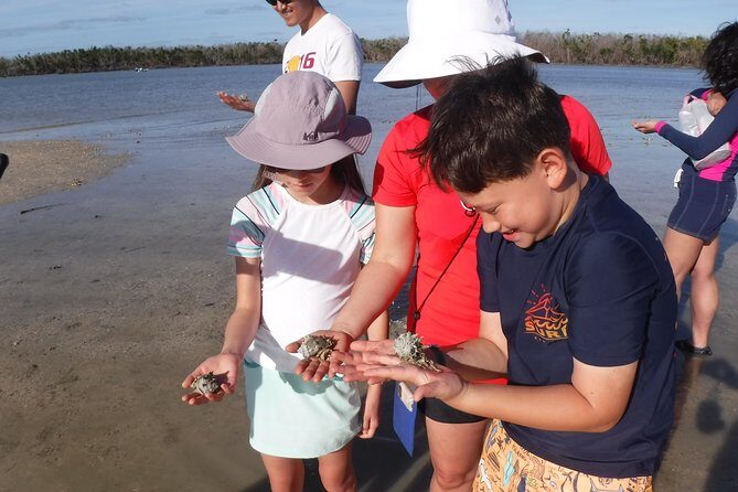 2-hour Shelling Boat Tour in the 10,000 Islands - The Sum Up