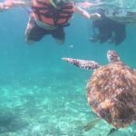 2-Hour Snorkeling in Two Spots of Tulum's Reef - Authentic Encounters and Real Experiences