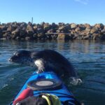 2 Hour Sound Tour - FAQ About the 2 Hour Sound Tour