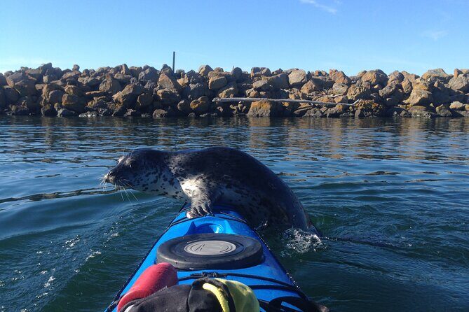 2 Hour Sound Tour - FAQ About the 2 Hour Sound Tour