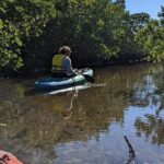 2 Hour Tandem Kayak Tour (Price for 2 People) - Who Should Consider This Tour?