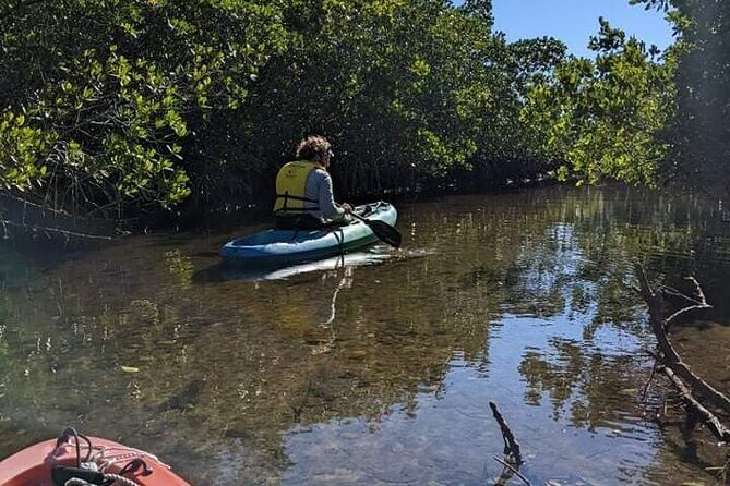2 Hour Tandem Kayak Tour (Price for 2 People) - Who Should Consider This Tour?