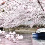 2 Hours Private Cruising Boat Tour;Tokyo Bay & River - Why This Tour Offers Great Value