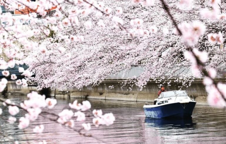 2 Hours Private Cruising Boat Tour;Tokyo Bay & River - Why This Tour Offers Great Value