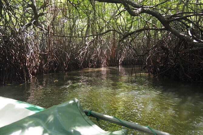2 hours private Madu River Safari - A Detailed Look at the Madu River Safari