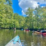 2-Hr Blackwater Kayak Tour just outside Charleston - Discover the 2-Hour Blackwater Kayak Tour Outside Charleston