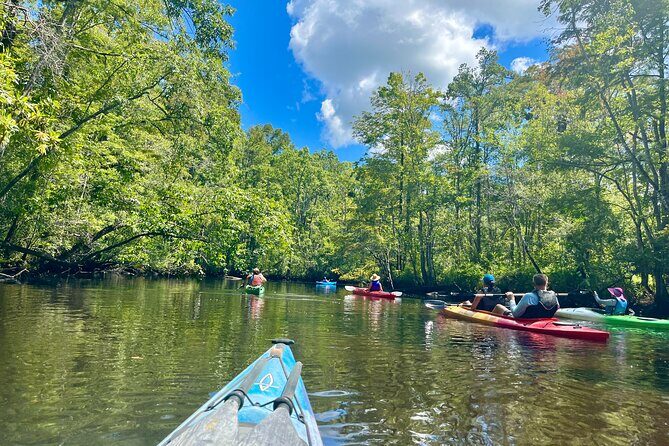 2-Hr Blackwater Kayak Tour just outside Charleston