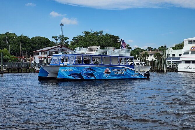 2 HR Dolphin Tour in North Myrtle Beach - Why This Tour Offers Great Value