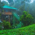 2 Nights Munnar Treehouse Escape with Private Car- Iris Holidays - Exploring the Munnar Tour in Detail