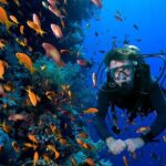 2 Tank Dive in Cozumel - The Sum Up