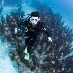 2 Tank Dives MUSA and Manchones reef (Certified divers) - Possible Drawbacks and Considerations