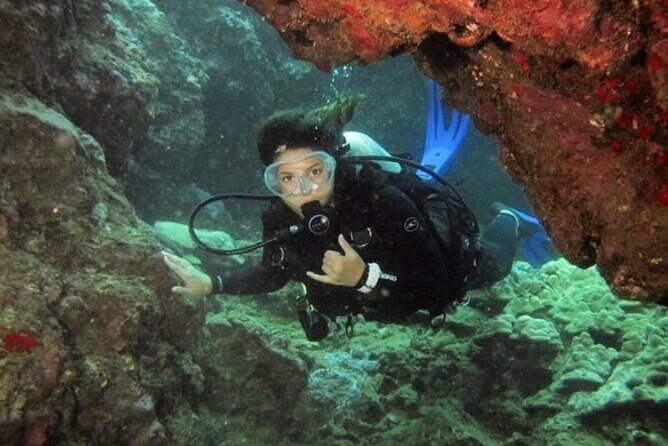 2 Tank Shore Dive at Sea Turtle Cove - In-Depth Review: A Closer Look at the 2 Tank Shore Dive at Sea Turtle Cove