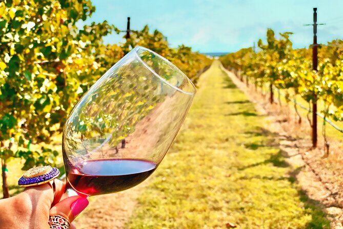 2 to 5 Guests Fredericksburg Private Mercedes SUV Wine Tour - What Does the Experience Mean for You?