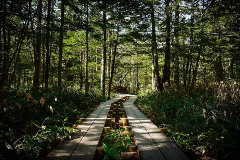 2025 Autumn Highlights from Takayama: Kamikochi, Shirakawago - Kamikochi: Japan’s Alpine Gem