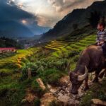 2D1N Buffalo trek by Hmong Sister House and Trekking - FAQ