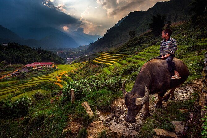 2D1N Buffalo trek by Hmong Sister House and Trekking - FAQ