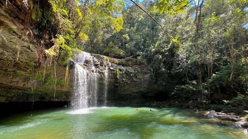 2D1N Jungle Hike to 2 Waterfall with a 4x4 Journey - Who Should Consider This Tour?