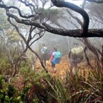 2d1n Mount Kinabalu Via Ferrata - Walk The Torq - In-Depth Look at the 2-Day Itinerary