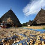 2Days - Cultural Tour to Wae Rebo Village - Who Is This Tour Best For?