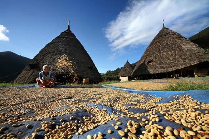 2Days - Cultural Tour to Wae Rebo Village - Who Is This Tour Best For?