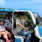 2h 3-seater electric trike rental (Ishigaki, Okinawa) - Practical Tips and Considerations