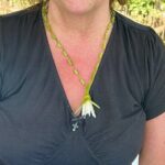 2h Bentota River Safari: Crocodiles, Monkeys, Mangrove & more - The Sum Up