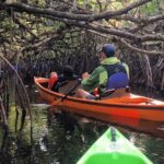 2Hour Everglades Kayak Safari Adventure Through Mangrove Tunnels - An In-Depth Look at the 2-Hour Everglades Kayak Safari