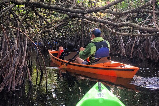 2Hour Everglades Kayak Safari Adventure Through Mangrove Tunnels - An In-Depth Look at the 2-Hour Everglades Kayak Safari