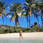 2x1 Tour: Isla Contoy, Isla Mujeres, Open Bar, Lunch and Transfers - Who Will Love This Tour?