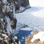 3.5hours Primeval Forest Snowshoe hike and Wildlife Watching Tour - An In-Depth Look at the Snowshoe and Wildlife Watching Tour