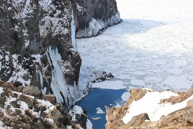 3.5hours Primeval Forest Snowshoe hike and Wildlife Watching Tour - An In-Depth Look at the Snowshoe and Wildlife Watching Tour