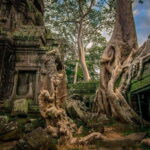 3-Day Angkor Wat & All Interesting Temples With Beng Mealea - Exploring the Temples of Angkor: An Authentic Journey