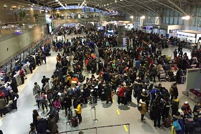 3-Day Busan Hidden area and Local foodie Tour with Pick Up - Who Will Love This Tour?