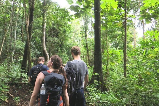 3-Day Chiang Dao Mountain Trek - Getting There and What’s Included