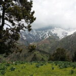 3-Day Chimgan Trekking Tour - What Makes This Trek Special?