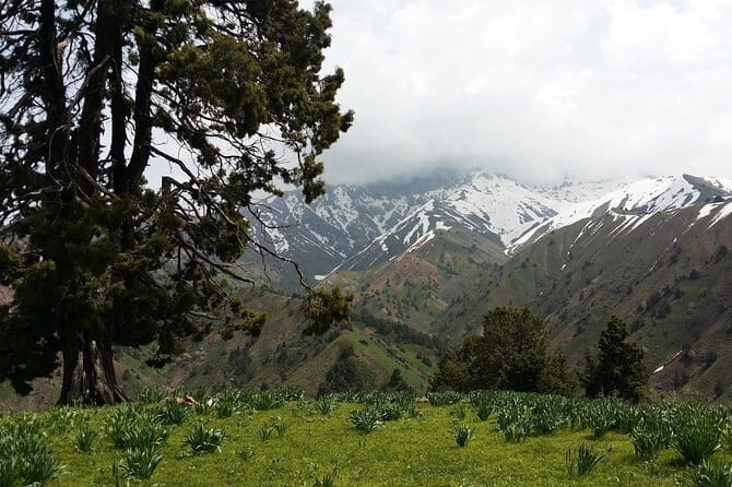 3-Day Chimgan Trekking Tour - What Makes This Trek Special?