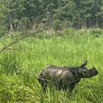 3-Day Guided Safari Tour in Chitwan National Park in Nepal - What Makes This Tour Stand Out