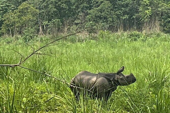 3-Day Guided Safari Tour in Chitwan National Park in Nepal - What Makes This Tour Stand Out