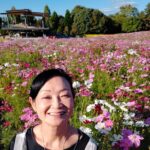 3 Day Japan Highlights Tour: Tokyo, Mt.Fuji, Nara, Kyoto, Osaka - The Sum Up