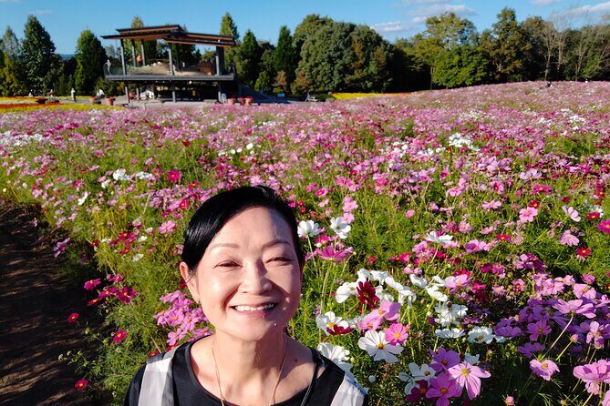 3 Day Japan Highlights Tour: Tokyo, Mt.Fuji, Nara, Kyoto, Osaka - The Sum Up