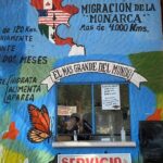 3-Day Private Guided Tour of Monarch Butterflies in Michoacan - FAQ: Your Practical Questions Answered