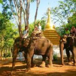 3-Day River Kwai Jungle Rafts Experience from Bangkok - Who Will Love This Tour?