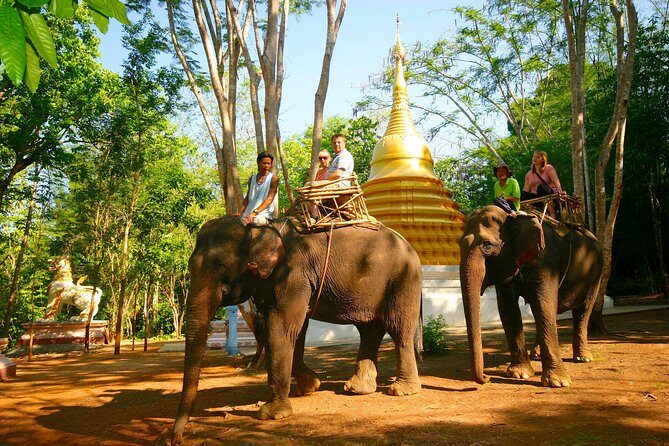 3-Day River Kwai Jungle Rafts Experience from Bangkok - Who Will Love This Tour?