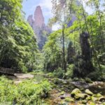 3-Day "Secrets Of Zhangjiajie" Deep Photography Tour - The Practicalities and Value